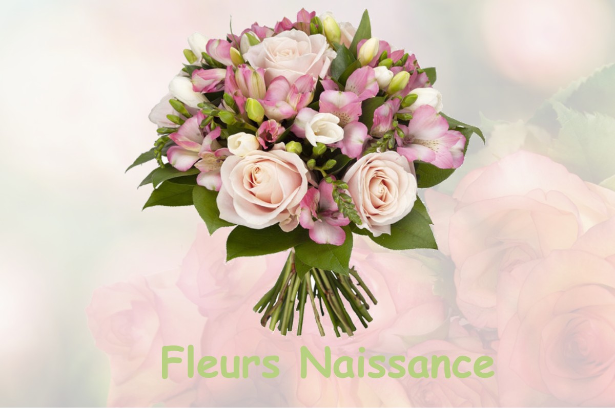 fleurs naissance PERQUIE