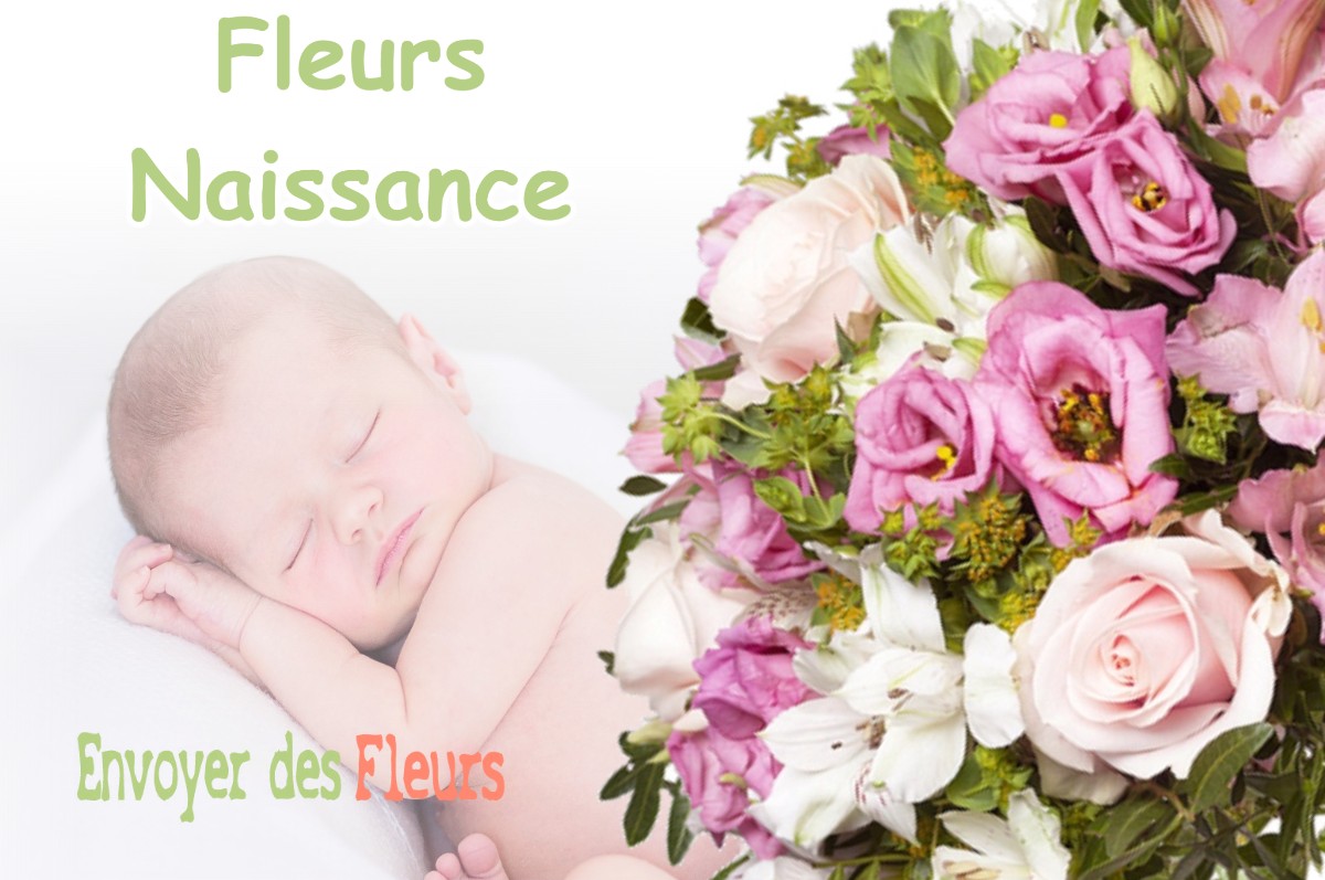 lIVRAISON FLEURS NAISSANCE à PERQUIE